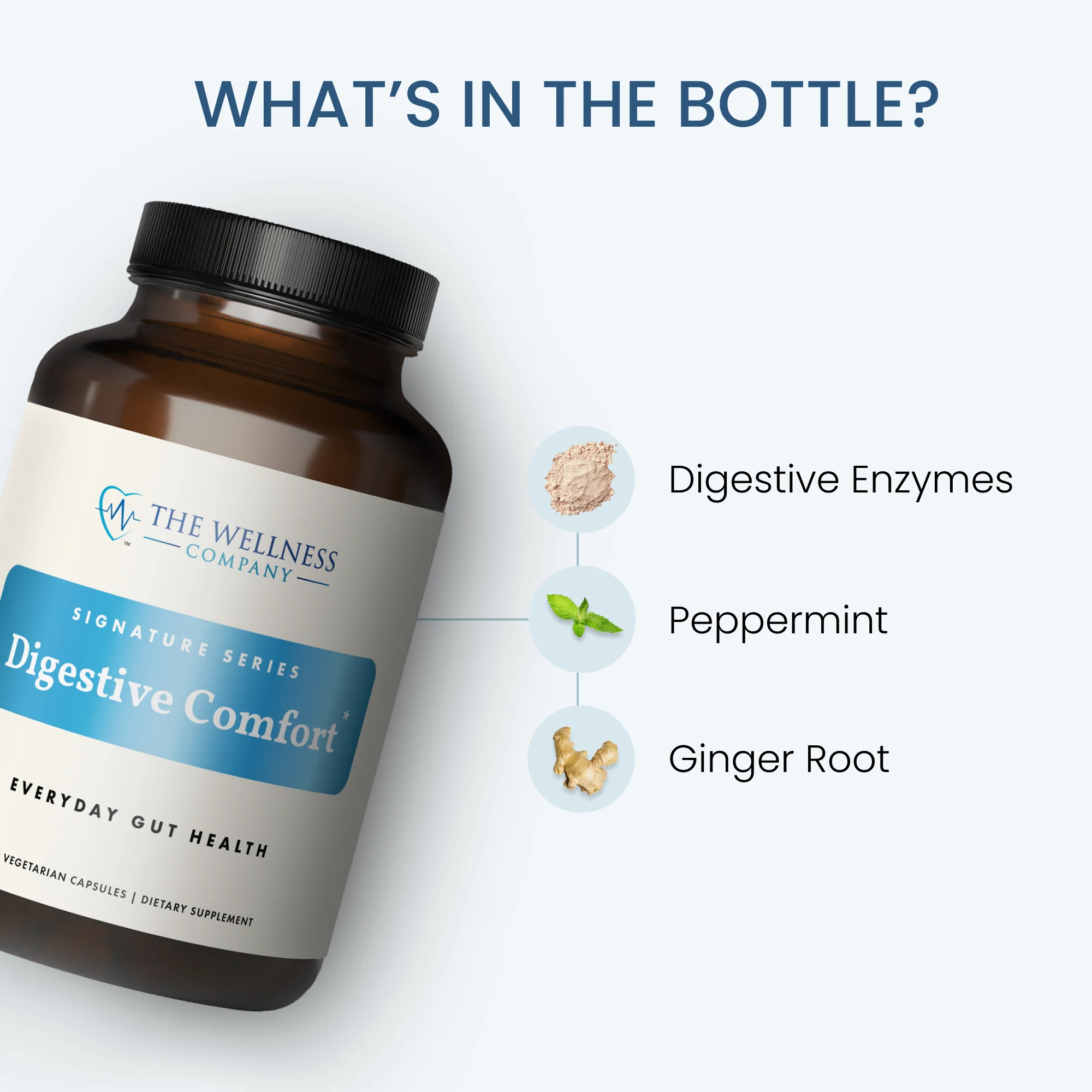 Digestive Comfort - Image 3