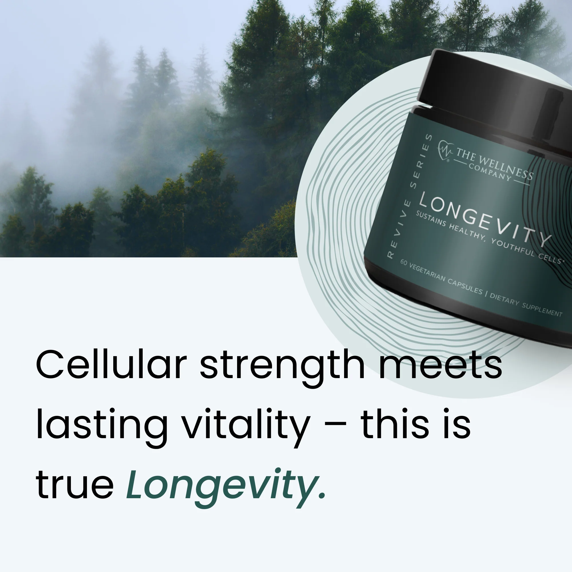 Longevity - Image 5