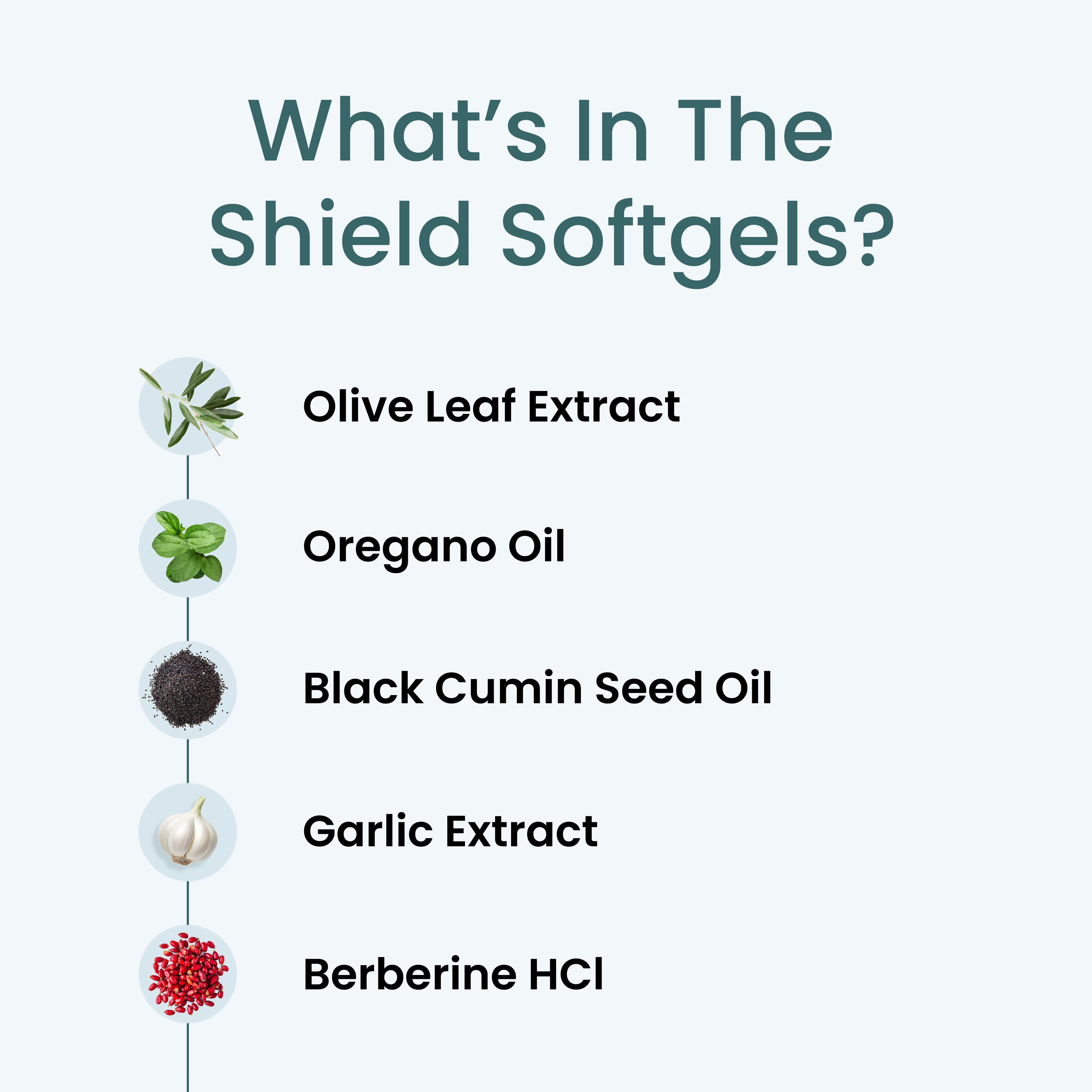 SHIELD - Image 7